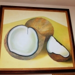 Lovely Coconuts