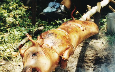 Plato Cubano